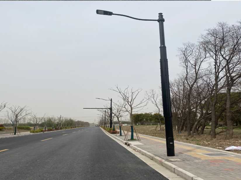 云城区上海综合杆 太阳能路灯工程